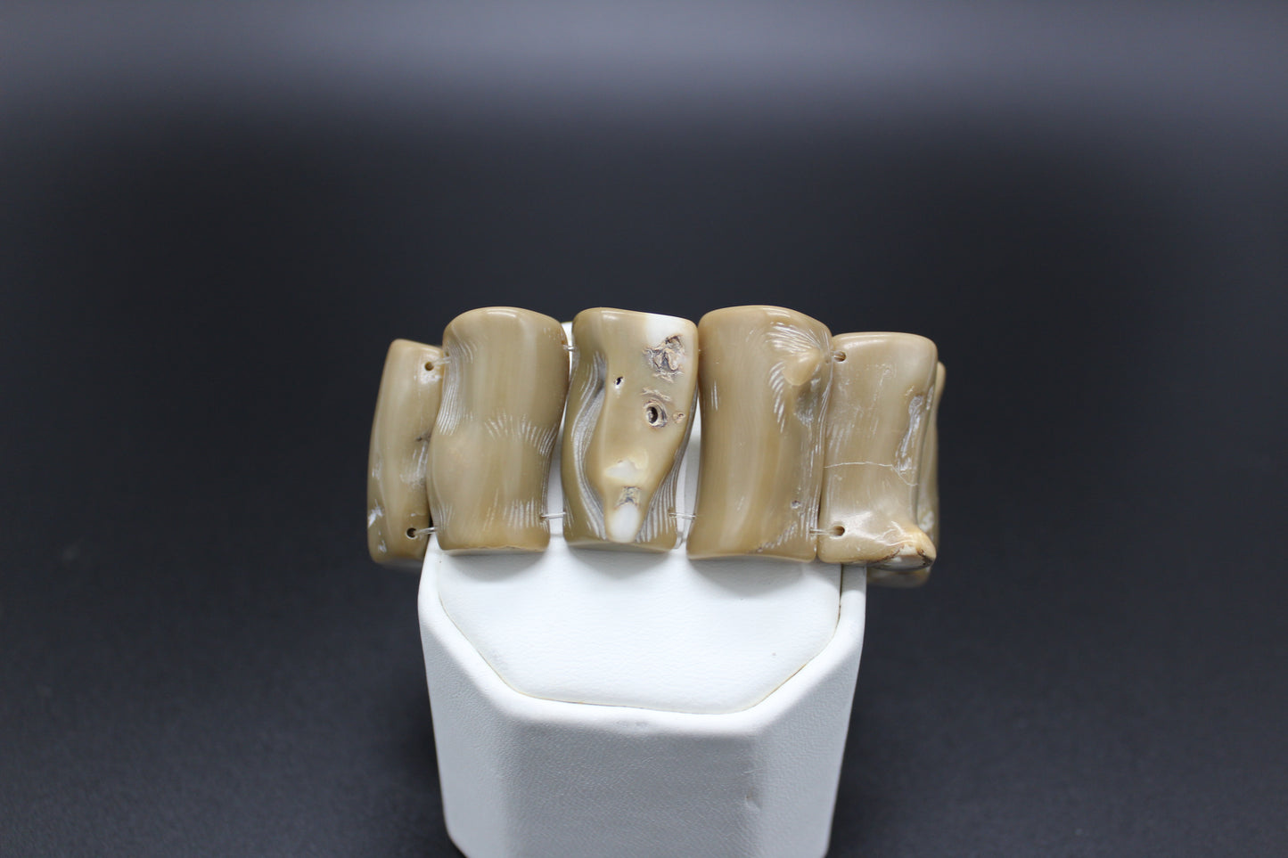 Fossilized Corral Stretch Bracelet