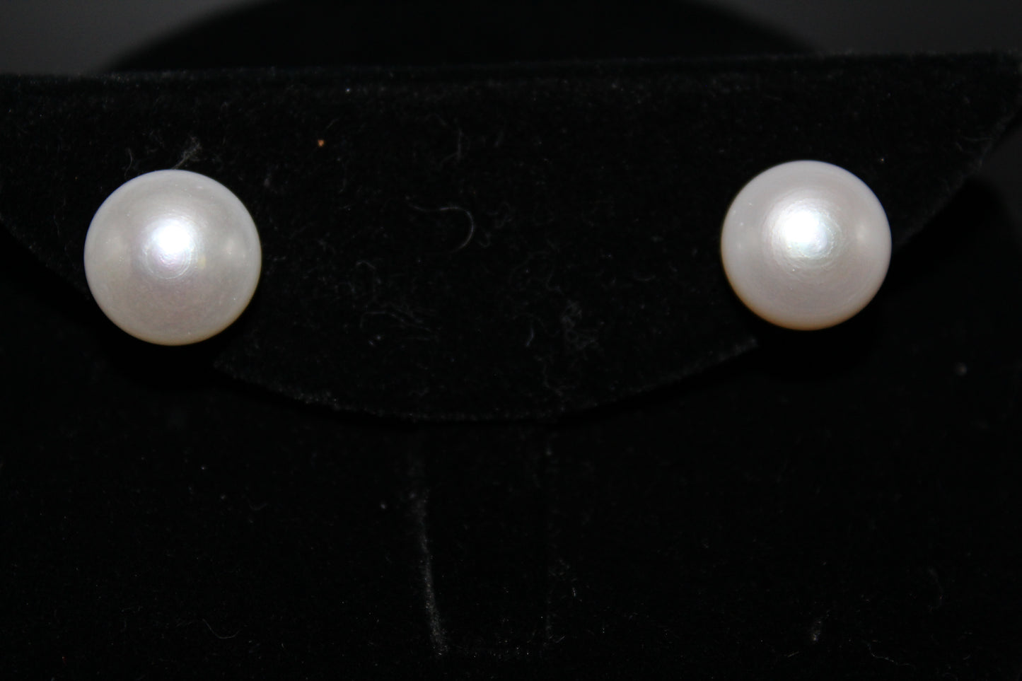 Fresh Water Pearl Studs