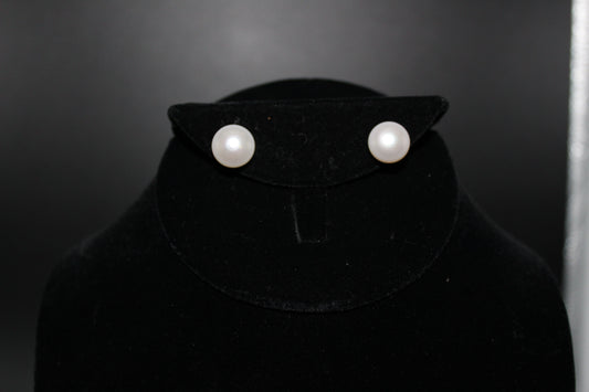 Fresh Water Pearl Studs